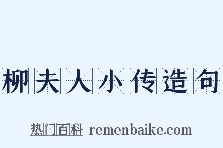 柳夫人小传造句是什么意思的图片